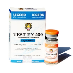 TEST EN 250 (Testosterone Enanthate 250mg/ml) 5 vial